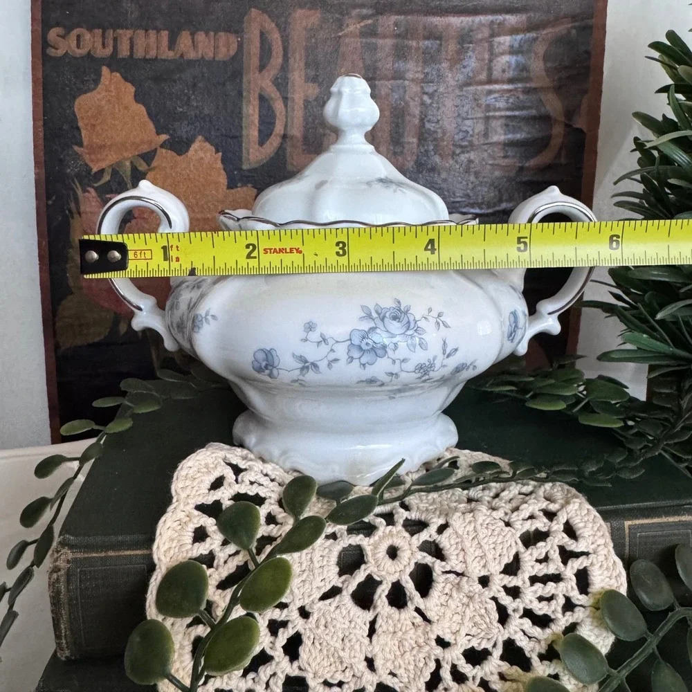 Johann Haviland Blue Garland Sugar Bowl with Lid Bavaria Germany Platinum Trim